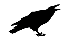 image de corbeau