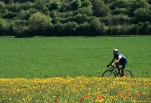 L’itinéraire du Grand Tour de la Val di Merse est entièrement balisé : il s’étend sur environ 173 km avec un dénivelé positif de 3 100 m. À parcourir dans le sens inverse des aiguilles d'une montre, il se déroule principalement sur des routes secondaires asphaltées et en partie sur des routes blanches. Il y a quatre secteurs de chemins de terre pour un total de 12 km, deux tronçons correspondent au parcours de la course de cyclisme professionnel Strade Bianche et un autre correspond au parcours de l'Eroica. Note pour les ceux qui utilisent des vélos de routes : au Passo Incrociati, nous vous conseillons de ne pas tourner à droite sur le chemin de terre de Cetina/Poggio ai Legni, comme l'indique le panneau, mais de continuer à descendre sur l'asphalte jusqu'à Pievescola où, au rond-point avec la statue « Il Fungo Innamorato » (le champignon amoureux), vous tournerez à droite pour rejoindre l'itinéraire balisé de Località Scorgiano.