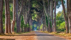 Parc régional de San Rossore Migliarino Massaciuccoli